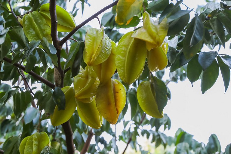 Casa com piscina em Floripa - 15 min Jurerê