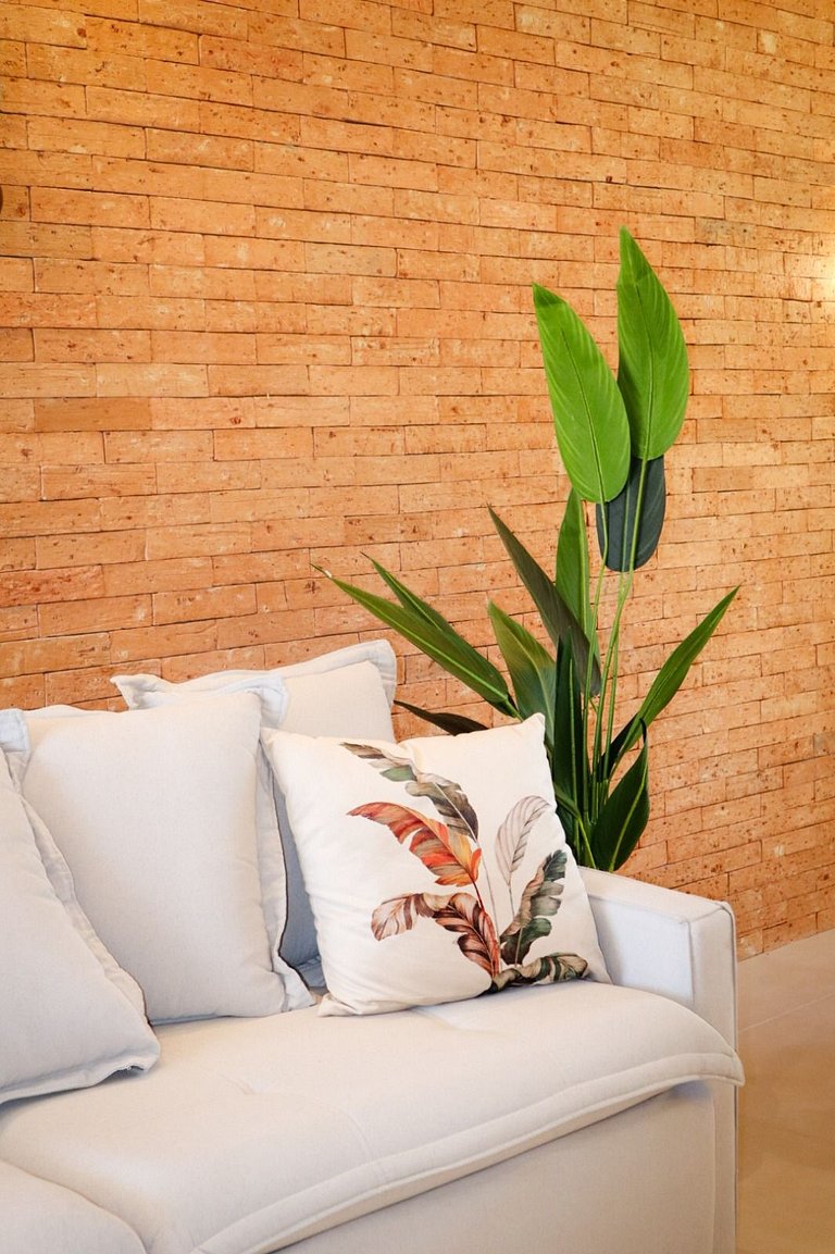 Cozy house in the Reserva do Toque Condominium