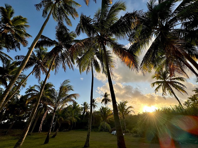 Vila Xié: Exclusive Beachfront Comfort in the Ecological Res
