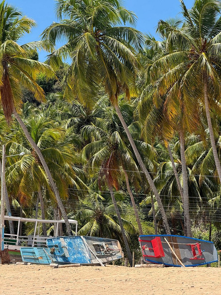 Beachfront House with Pool and Barbecue in Japaratinga