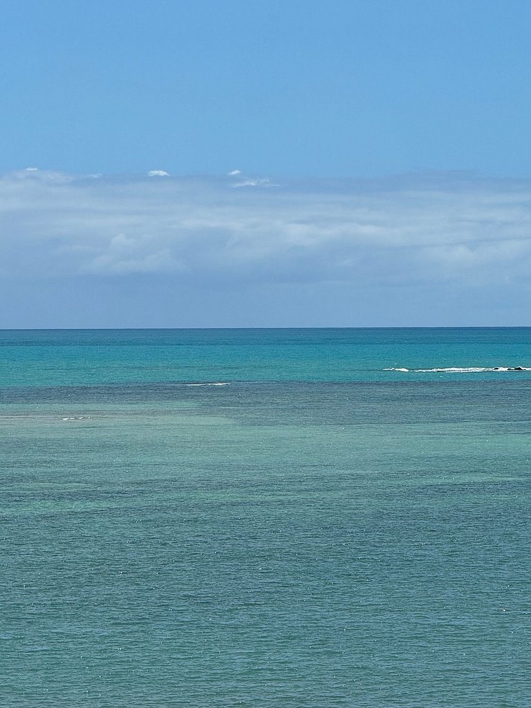 Beachfront House with Pool and Barbecue in Japaratinga