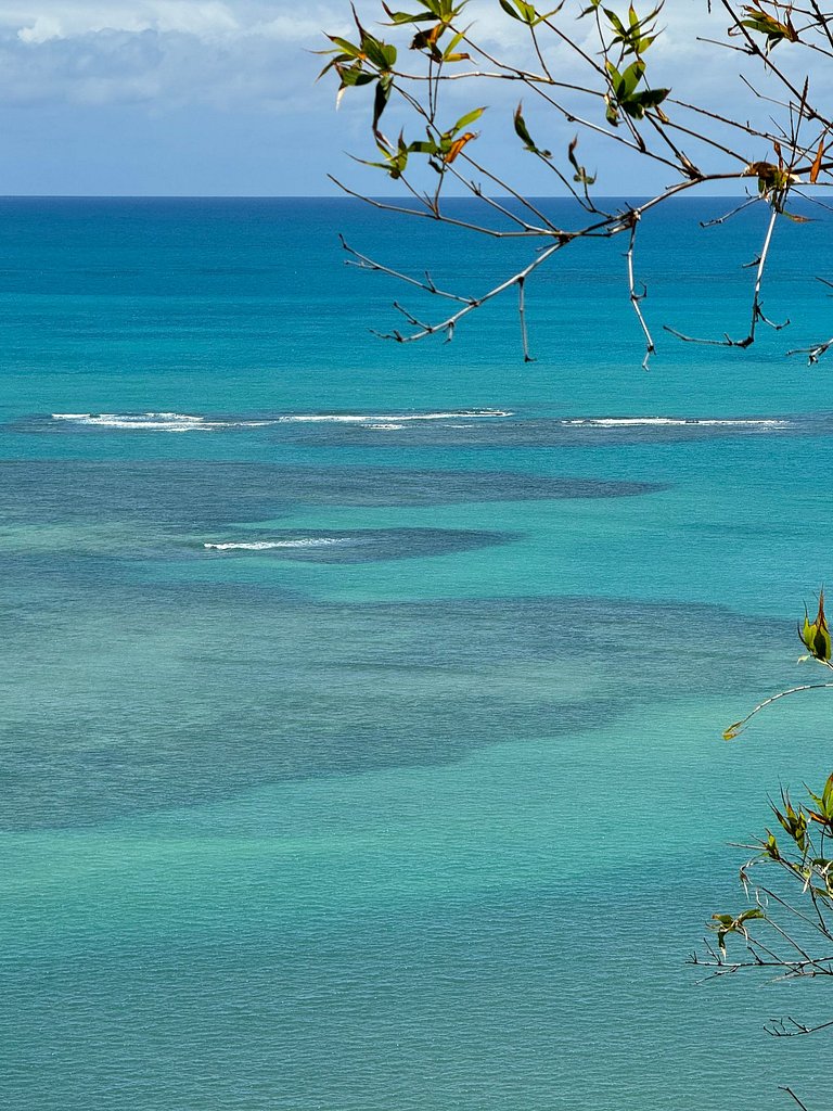 Beachfront House with Pool and Barbecue in Japaratinga