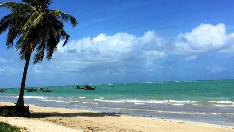 Cozy house in the Reserva do Toque Condominium