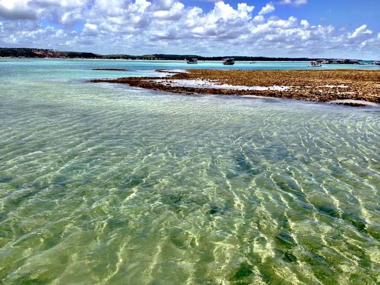 Conforto, localização e paisagens inesquecíveis em Maragogi!