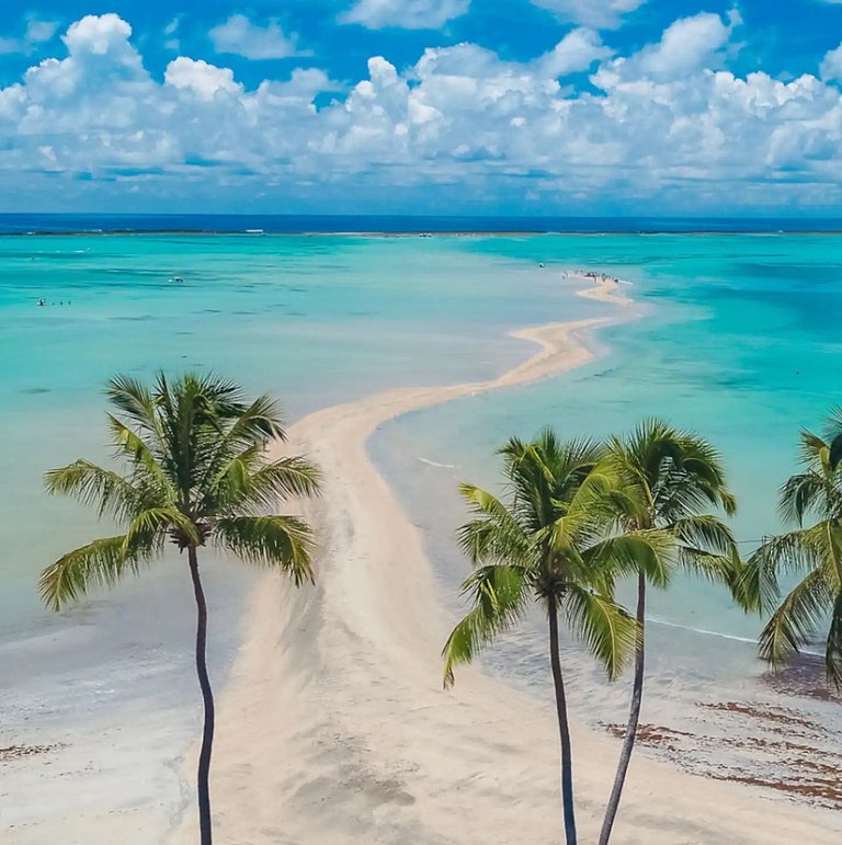 Conforto, localização e paisagens inesquecíveis em Maragogi!