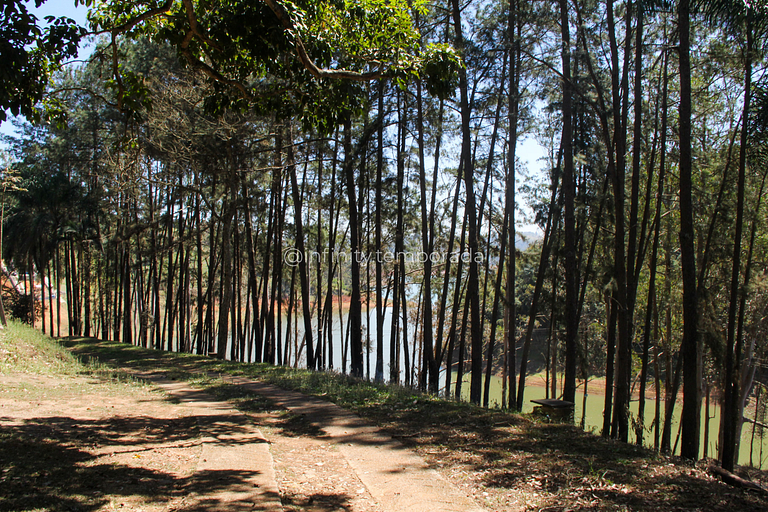 Igaratá: refúgio em meio a natureza com piscina e cabanas