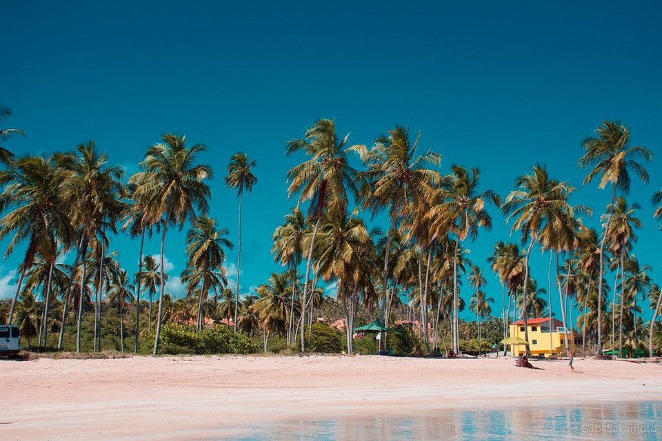 O que fazer em Maragogi: um mini guia com praias, cafés e experiências imperdíveis