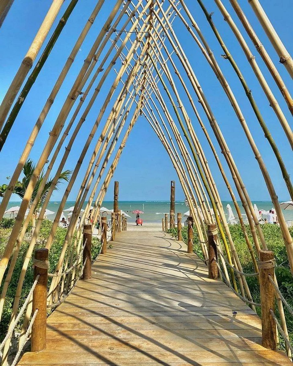 4 praias imperdíveis para conhecer no litoral norte de Alagoas (e onde se hospedar por perto)
