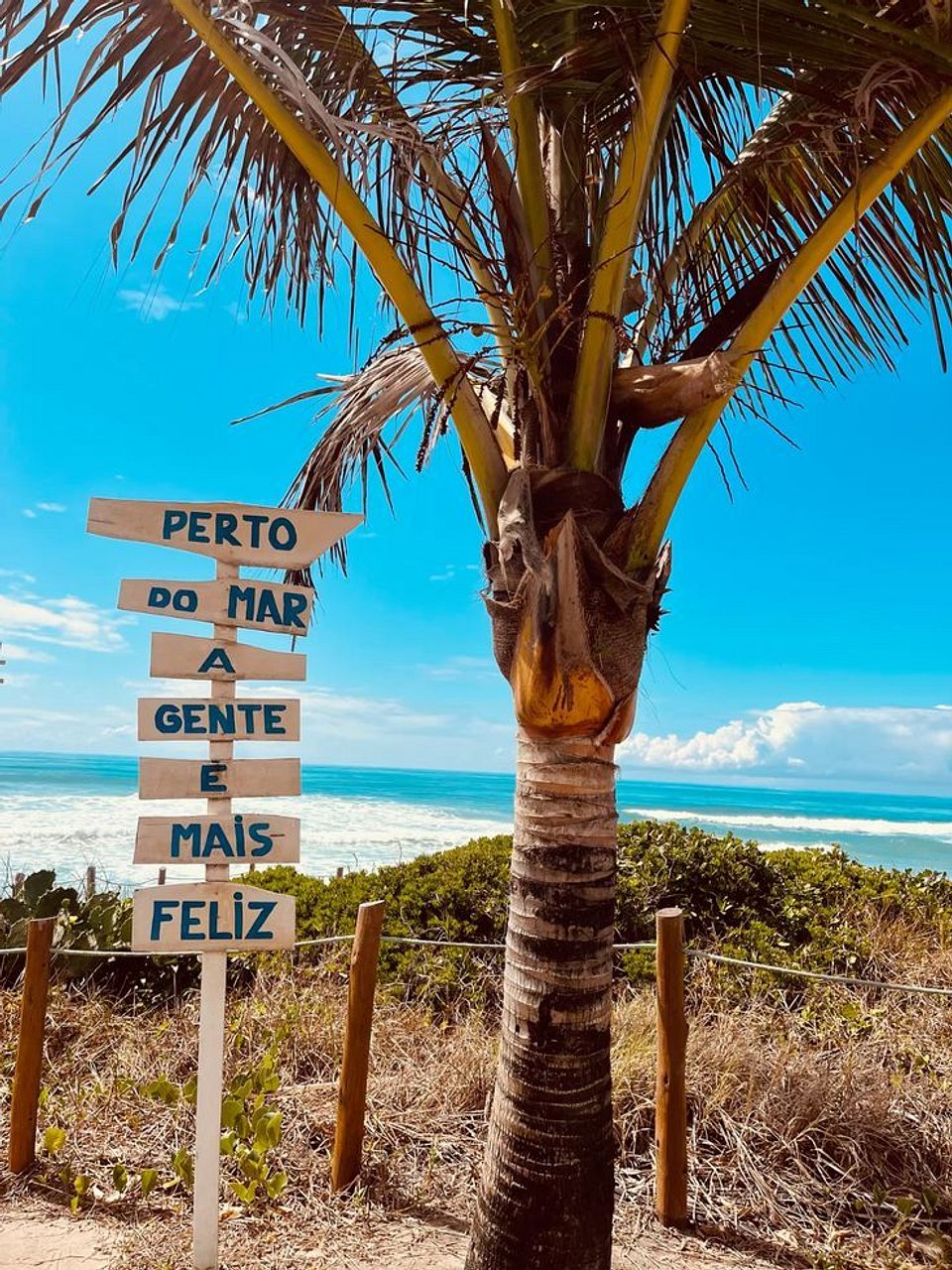 O que fazer no verão no litoral norte de Alagoas: Patacho, Milagres e Japaratinga