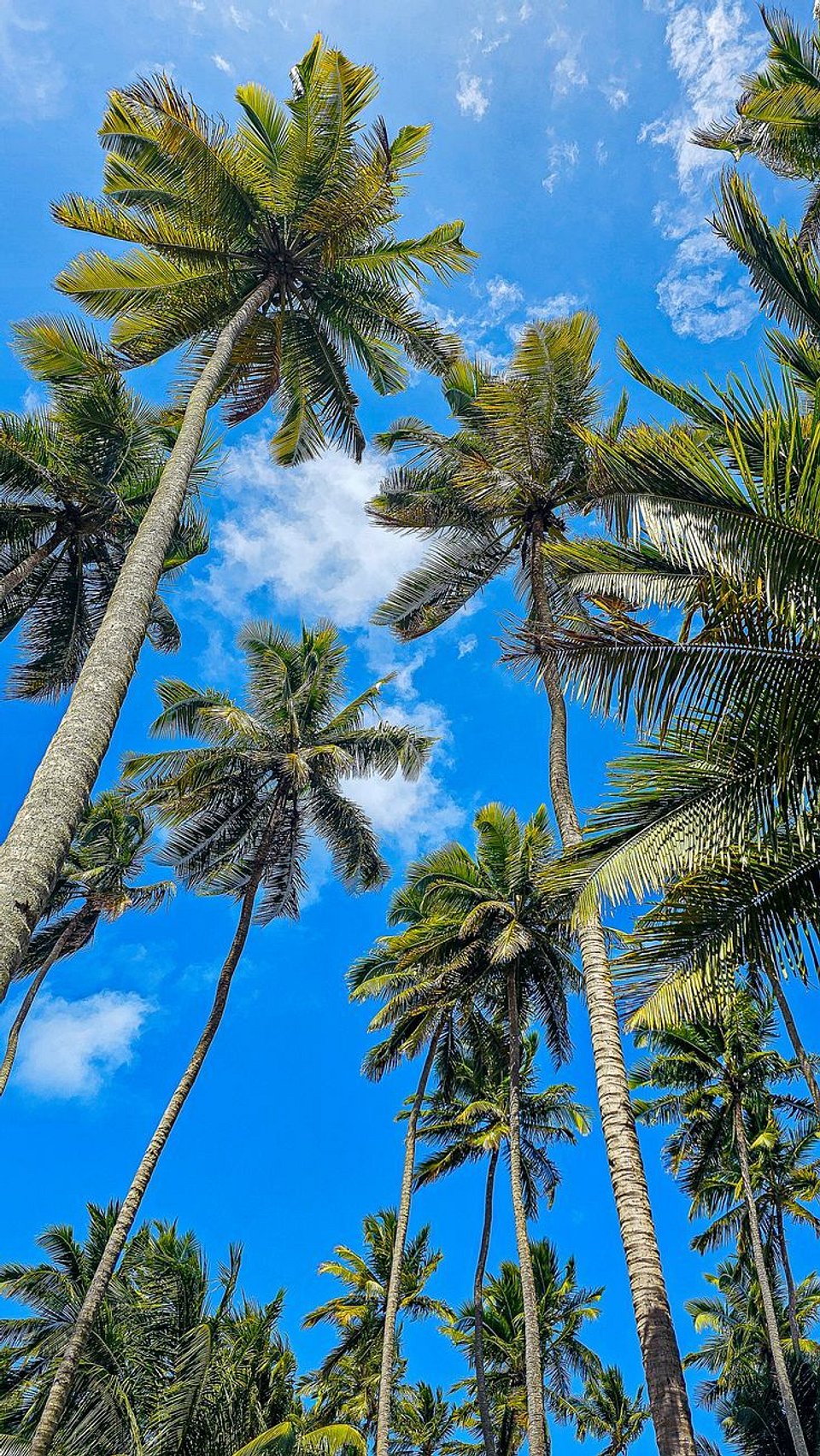 Destinos ideais para quem quer viajar fora de temporada (e aproveitar melhor cada momento)