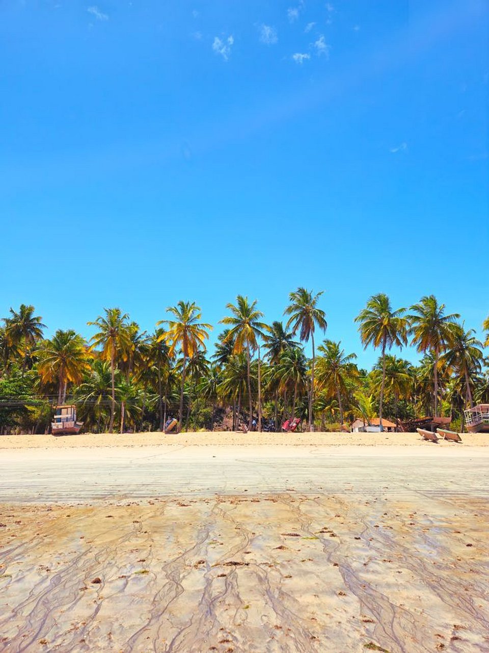 Roteiro de 4 dias em Japaratinga: O que fazer na Costa dos Corais