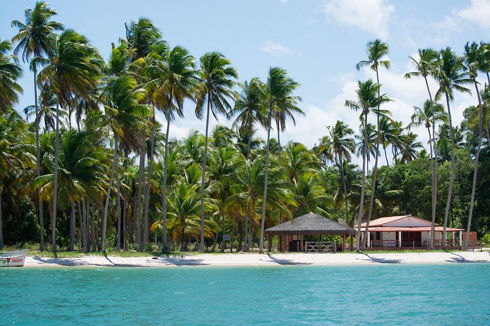 Pernambuco além do Recife: por que a Praia dos Carneiros deve estar no seu roteiro