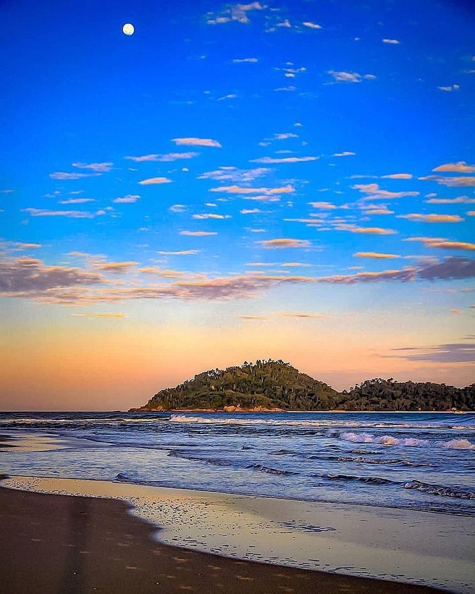 Praia do Campeche: o guia completo para conhecer a Florianópolis que poucos turistas descobrem